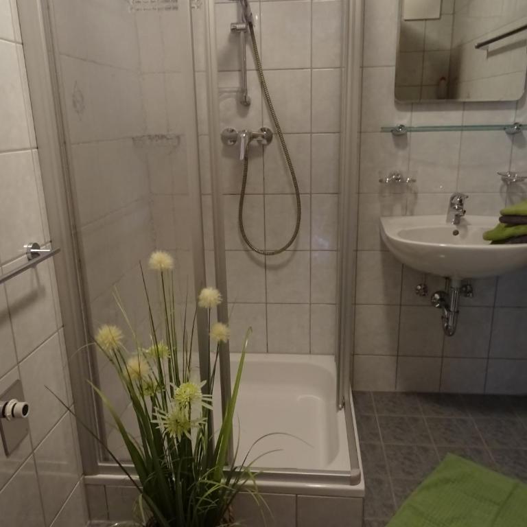 Ferienwohnungen Niederacher - Apartamento de 1 dormitorio con terraza - 9