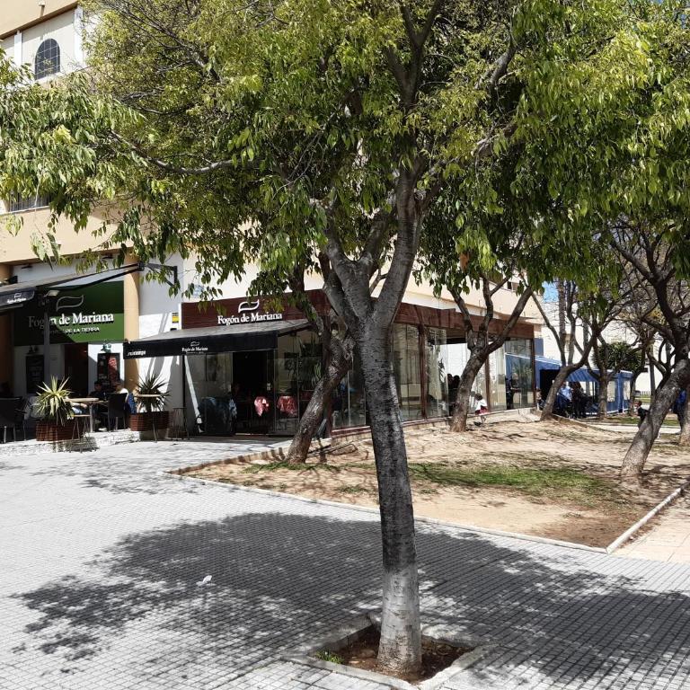 Casa Grande Zona Norte - Casa de 3 dormitorios - 33