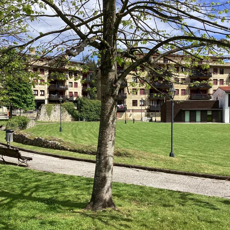 Asturleku - Two-Bedroom Apartment - 22