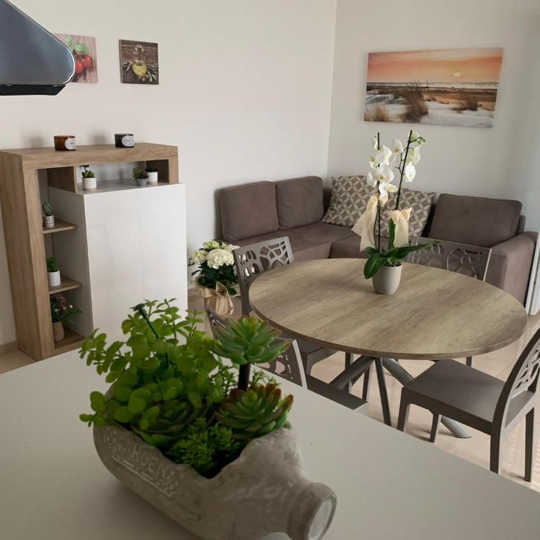 WOW TOTAL GREEN AD IMPATTO ZERO Villetta con 3 CAMERE DA LETTO, 3 BAGNI a 50 mt dalla spiaggia e dai lidi disponibile navetta per l'Areoporto - Villa con 3 Camere da Letto - 9