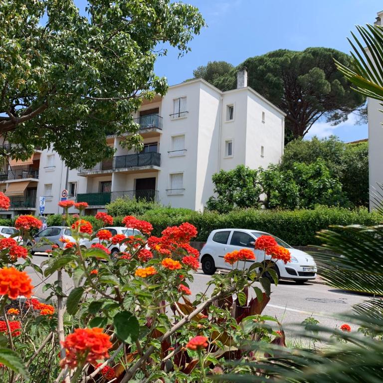 CASSIS LOVERS AND BABY Option Parking - Apartment - 22