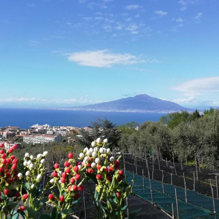 Sorrento Dolce Casa - Appartamento con 3 Camere da Letto - 4