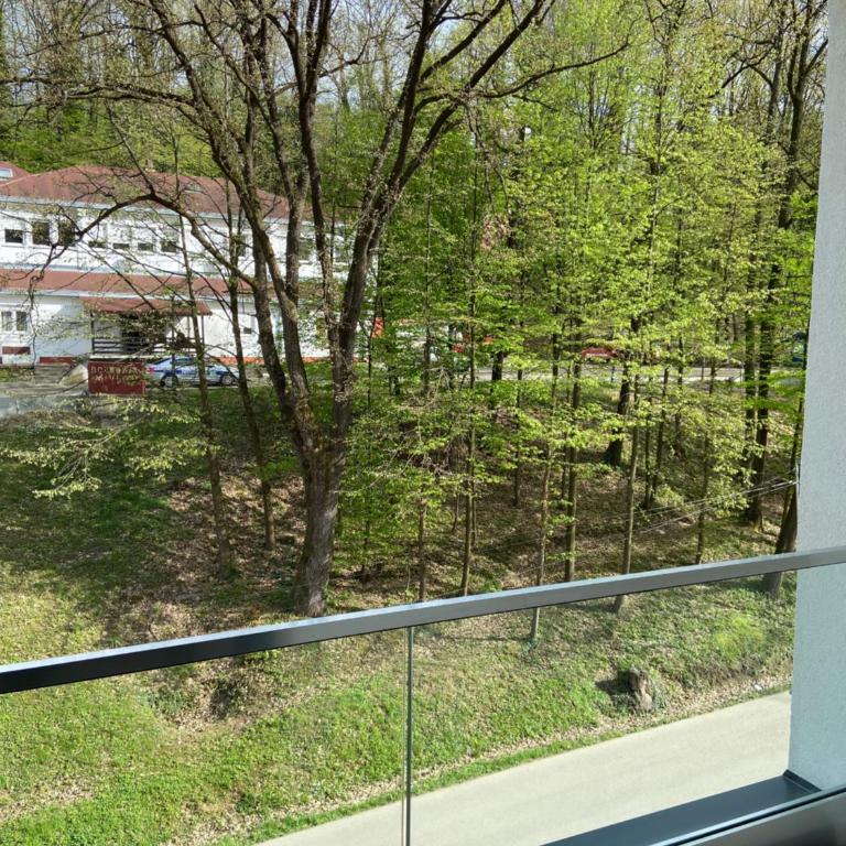 Maya apartman sa dve spavace sobe - Apartman sa 2 Spavaće Sobe - 2