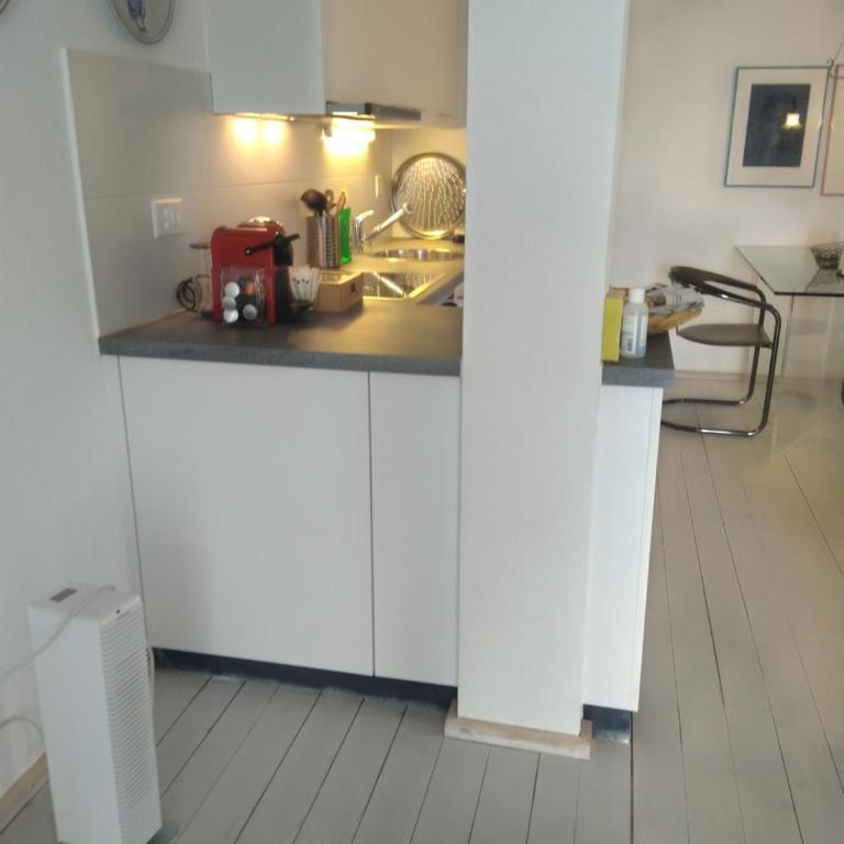 Swiss Borzoi House - Apartment mit Terrasse - 34