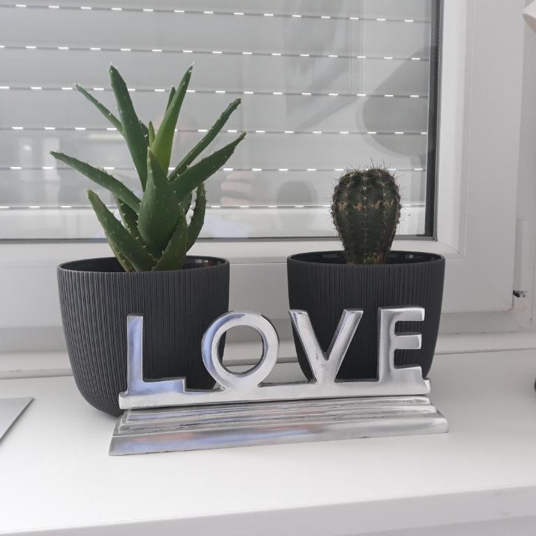 Apartment Vanilla Belgrade - Apartman sa 1 Spavaćom Sobom - 21