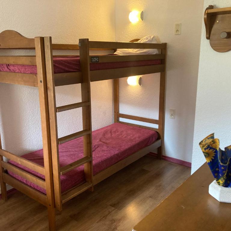 Appartement 4/6 pers 38m2, vue montagne, piscine chauffée, 500m centre ville - Appartement 2 Chambres - 10