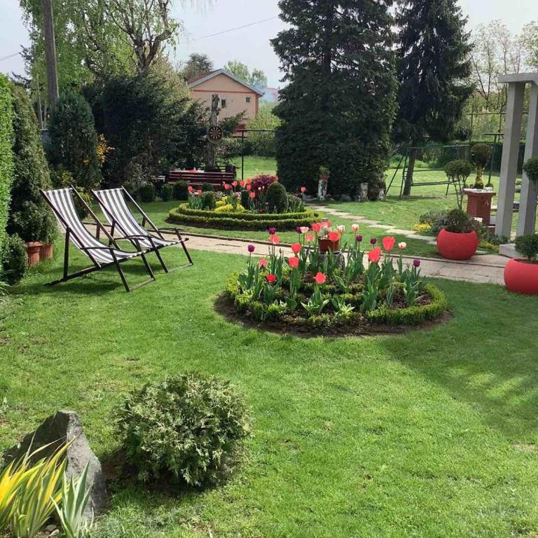 Andrea Airport Apartments - Apartman sa 2 Spavaće Sobe - 7