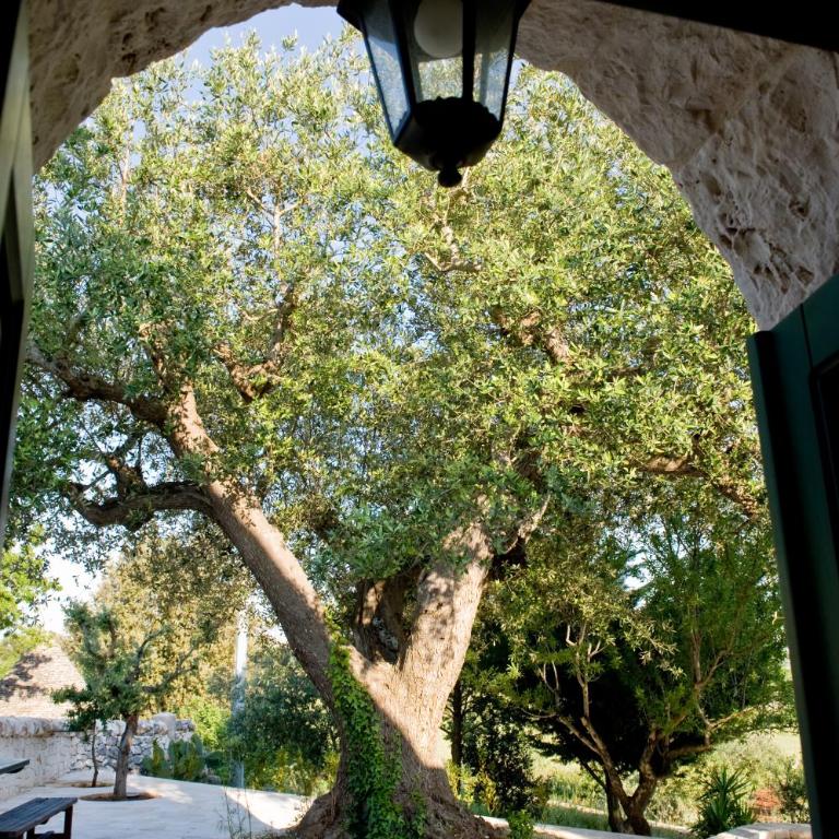 Trullo Panorama - Villa con Piscina Privata - 8