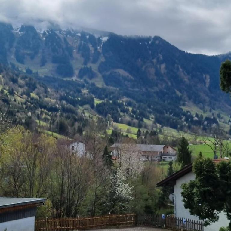 Pension – Restaurant Jägerwinkl - Camera Deluxe Matrimoniale/Doppia con Letti Singoli con Vista Montagna - 19