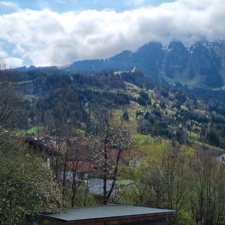 Pension – Restaurant Jägerwinkl - Camera Deluxe Matrimoniale/Doppia con Letti Singoli con Vista Montagna - 18