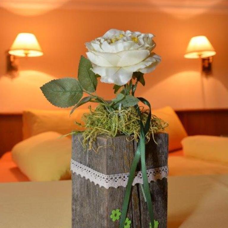 Haus Panorama - Doppelzimmer mit Dusche - 4