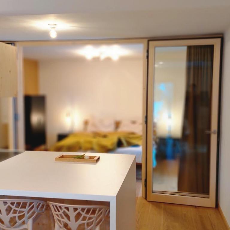 Kranzmuehle - Ankommen am Achensee - Apartment - Erdgeschoss - 10