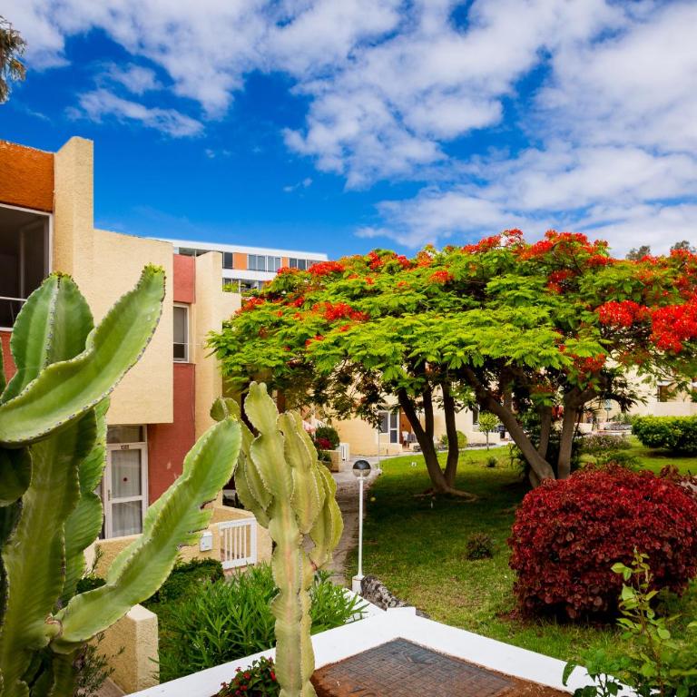 Bungalow Costa Adeje Cortijo 1-8 - Apartamento de 1 dormitorio - 21