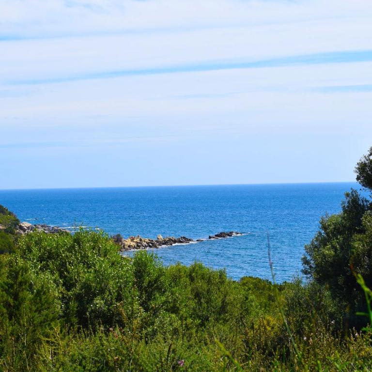Villa azzurra tra le coste del sud - Villa con 3 Camere da Letto - 14