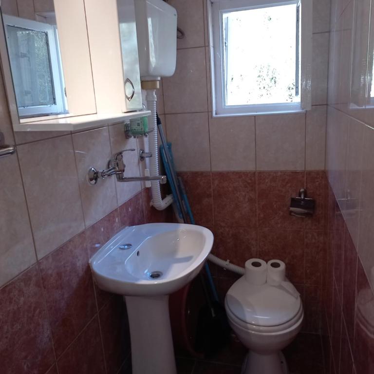 Apartment Jankovic - Apartment with Sea View - 13