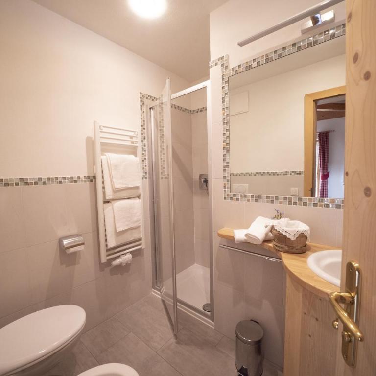 Appartamenti Sotgherdena - Grande Appartamento con 1 Camera da Letto - 15