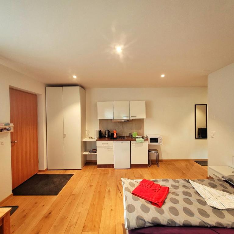 Brunnematta - Apartment mit 1 Schlafzimmer - 5