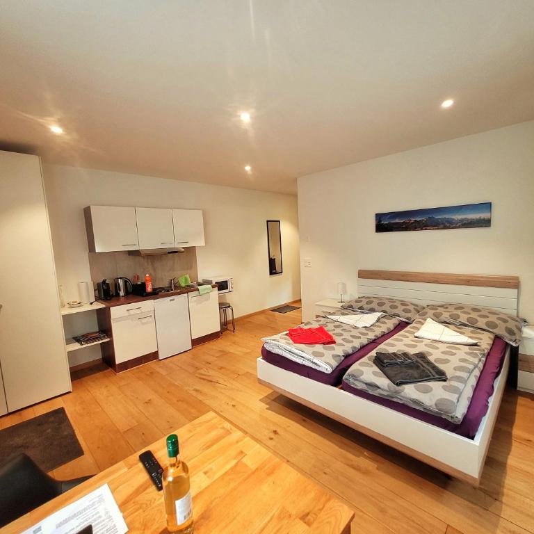 Brunnematta - Apartment mit 1 Schlafzimmer - 1