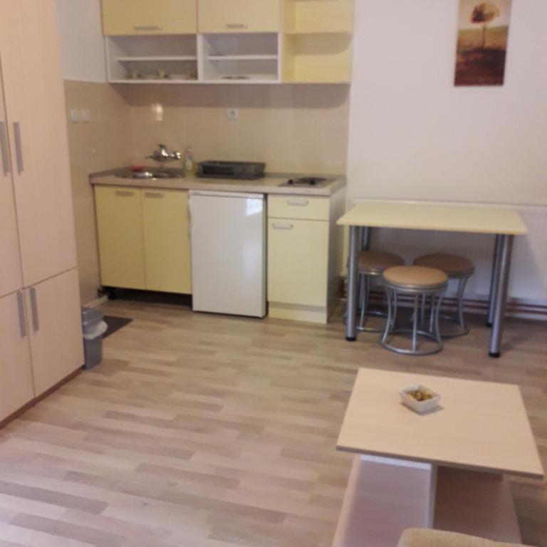 AKVASTAR smeštaj - Studio sa Pogledom na Planinu - 3