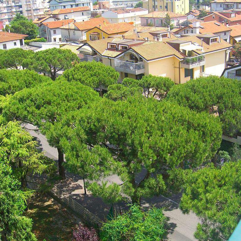 New Tiffany's Park - Camera Tripla Standard - 5
