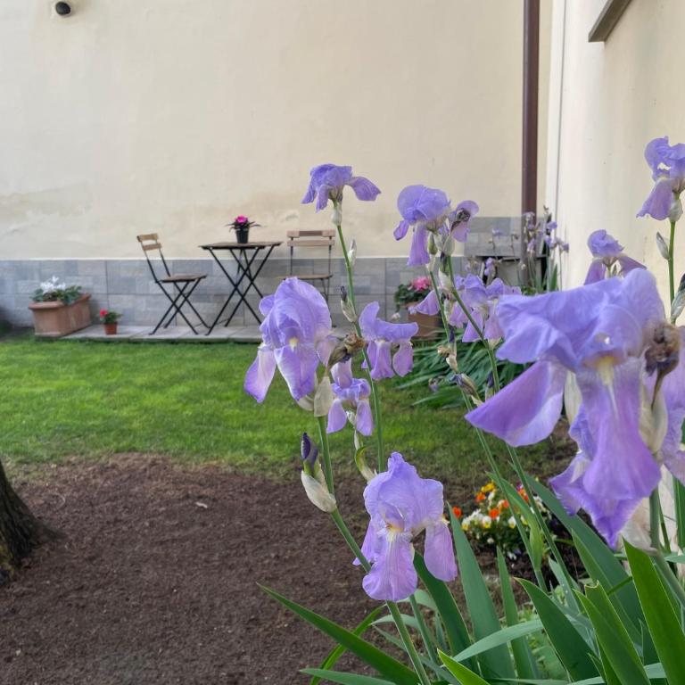 DaLu Florence apartment Lucilla - private car park 15 minutes to the city center - Appartamento con 1 Camera da Letto - 47