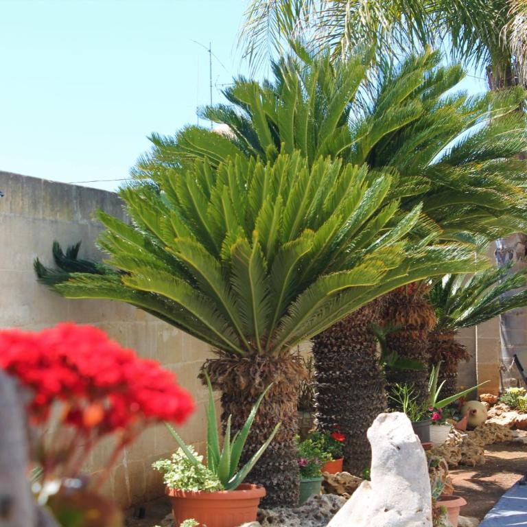 Appartamento Mary - Casa con 2 Camere da Letto - 4