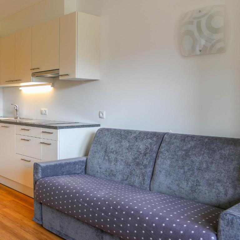 Apartment Pichlerhof - Appartamento con 1 Camera da Letto e Terrazza - 8
