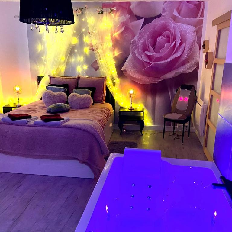COSY & SPA Appartement Luxe JACUZZI SAUNA Suite Cristal - Suite mit Whirlpool - 2
