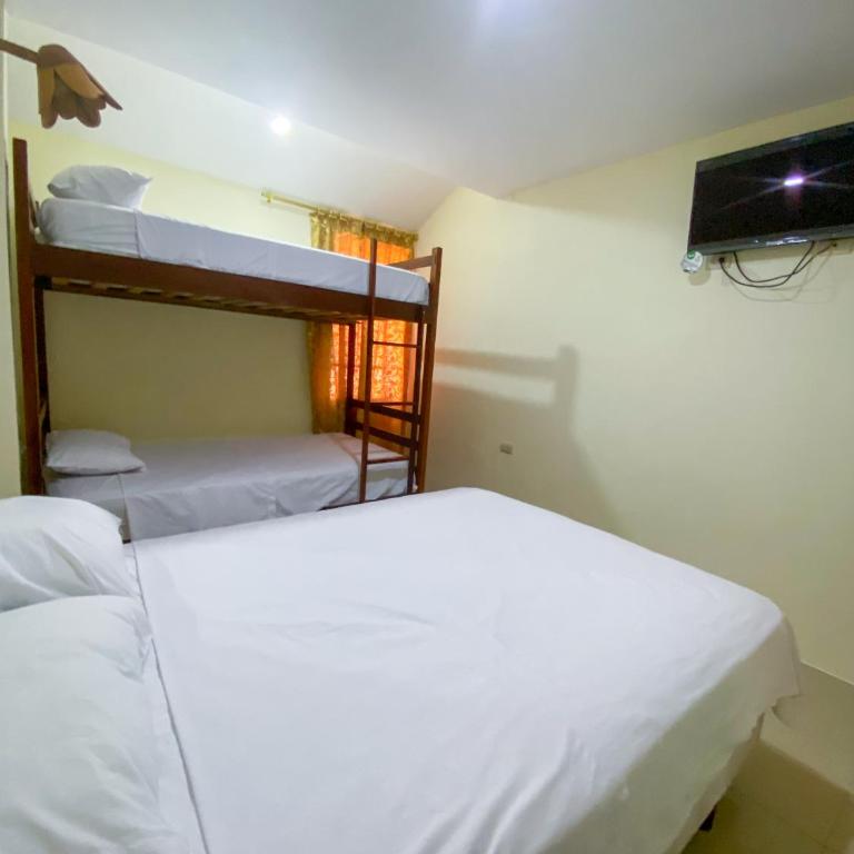 Hostal Tortuga Dorada - Habitación Familiar - 2