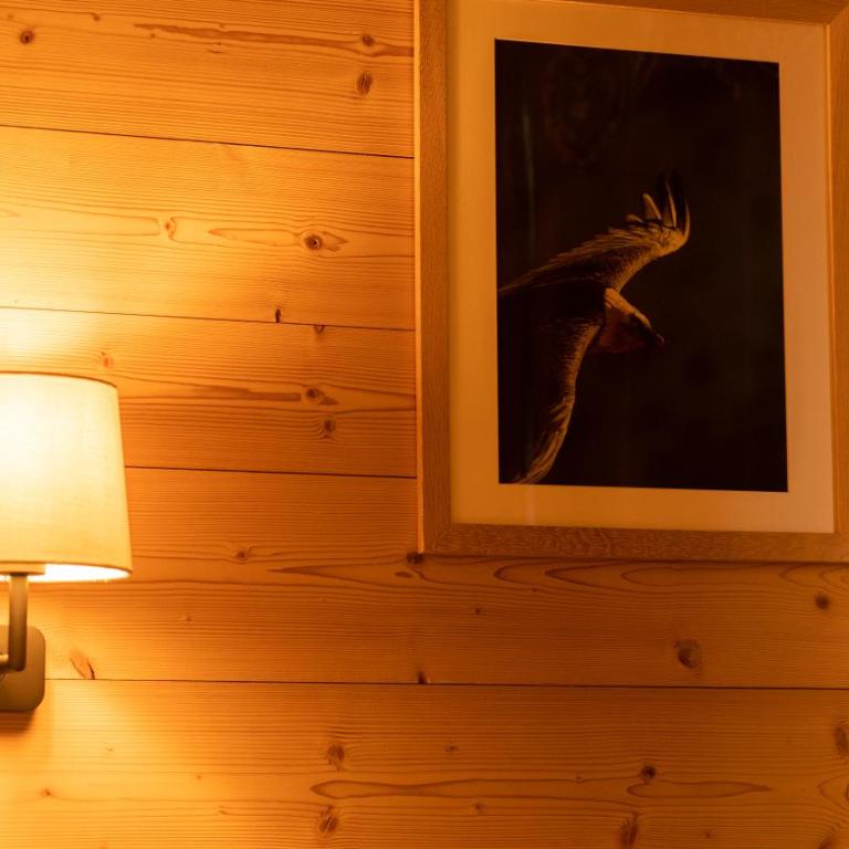 Hotel Les Chamois - Chambre Simple - 4