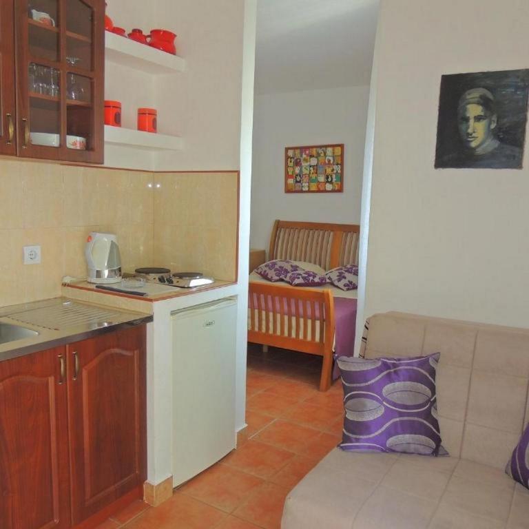 Villa Seka - Studio (2 Odrasle Osobe) - 9