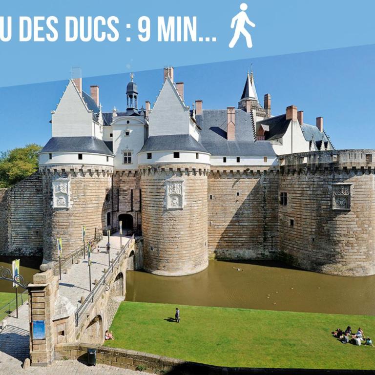 Le Somptueux - A 200m du Passage Pommeraye - Appartement 1 Chambre - 24