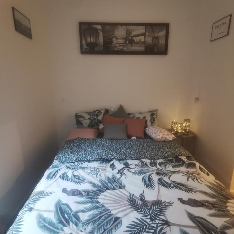 Appartement cozy en plein centre ville - Appartement 1 Chambre - 5