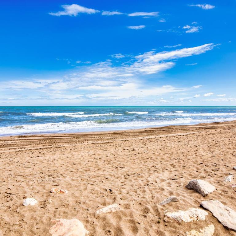 Holiday Beach - Apartamento de 2 dormitorios - 18