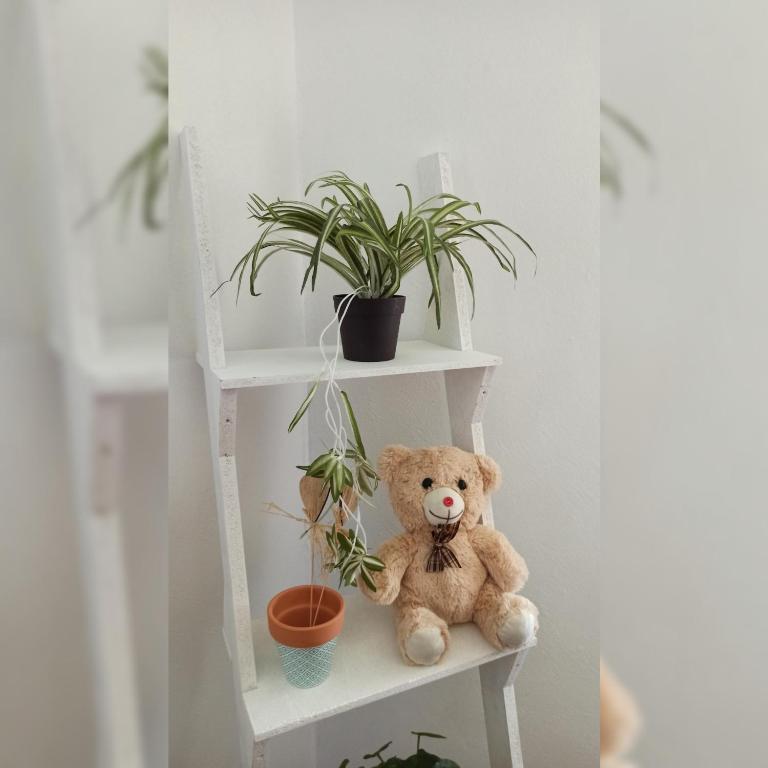 Martha`s place Drač - Apartman sa 1 Spavaćom Sobom - 22