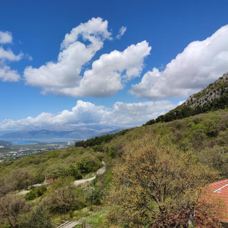 Forest Apartments - Studio with Sea View - 3