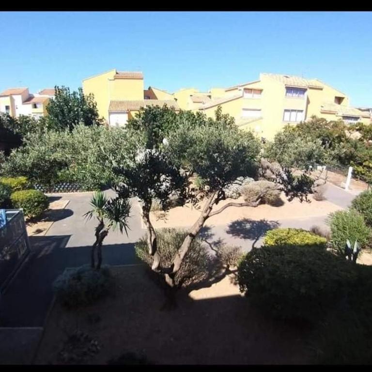 Appartement entièrement refait à neuf à 150 m de la plage - Appartement 1 Chambre - 12