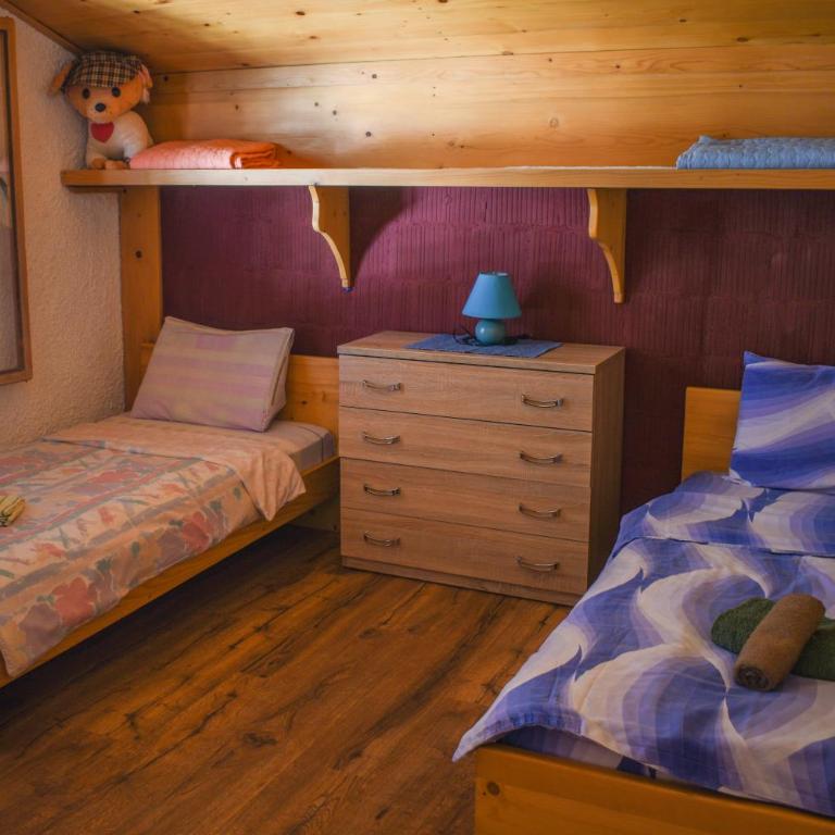 Guest House Scepanovic - Apartman sa 2 Spavaće Sobe - 10