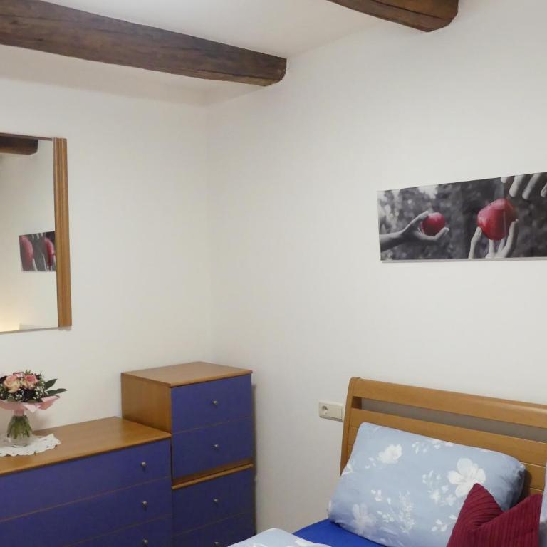 Ferienwohnungen Kaltenbachhof - Urlaub auf dem Biobauernhof - Appartamento con Vista Giardino - 4