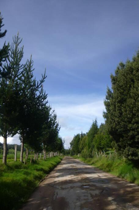 Amonita cabaña, vía Tunja Paipa - Casa - 10