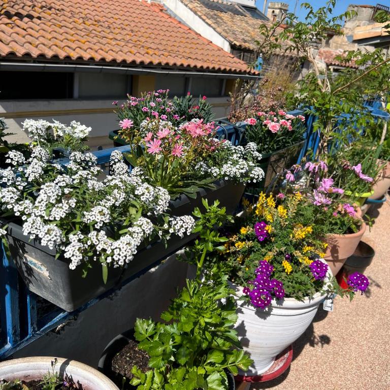 Loft Apartment , La Terrasse Centre Ville d'Arles, - Apartment with Terrace - 4