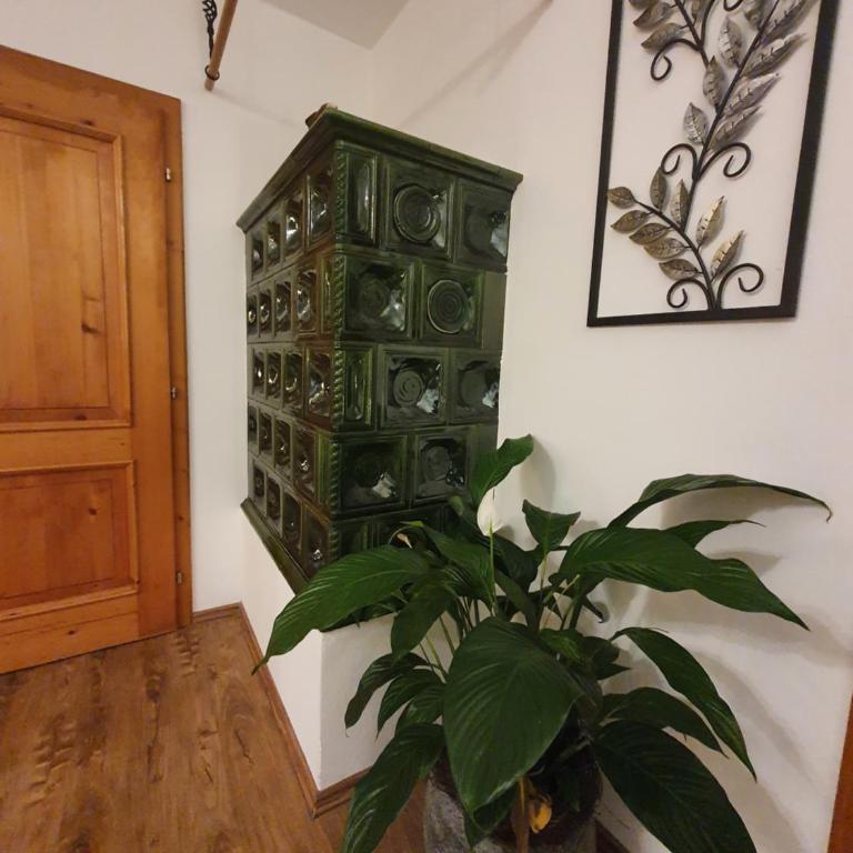 Ferienwohnung Leuner - Apartment mit Blick auf die Berge - 25