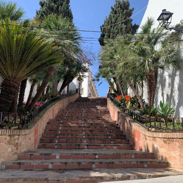 Morgan apartamentos Marbella centro - Apartamento de 1 dormitorio - 4