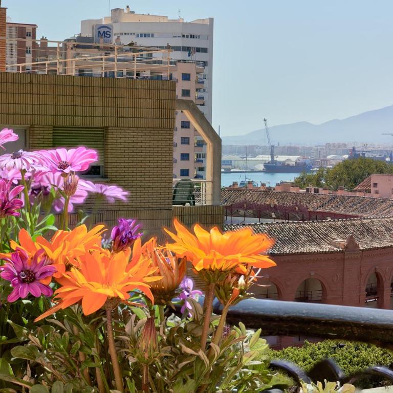 Villa Rosita Suites en Playa de la Malagueta con terraza - Apartamento con balcón - 13