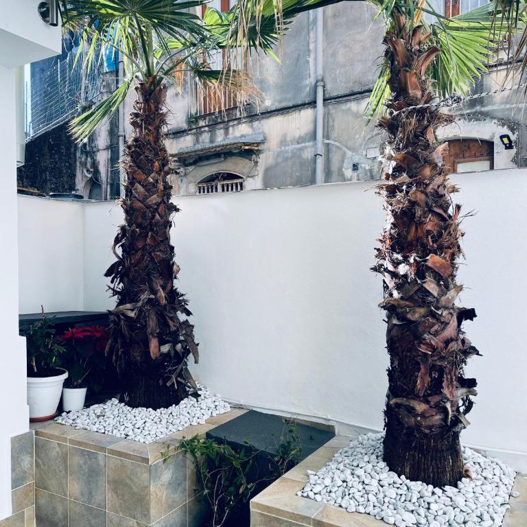 King House B&B Catania - Double Room with Spa Bath - 5