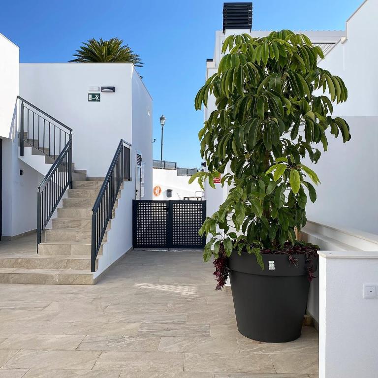 Balcon del Mar Seaview 216 Casasol - Apartamento Deluxe - 37
