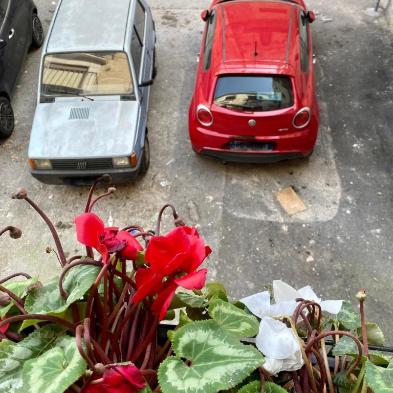 Le Due Pigne - Palermo - Appartamento con 1 Camera da Letto - 51