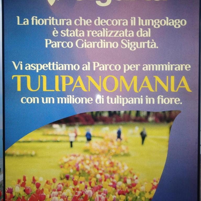 casabelvedere - Appartamento - 39