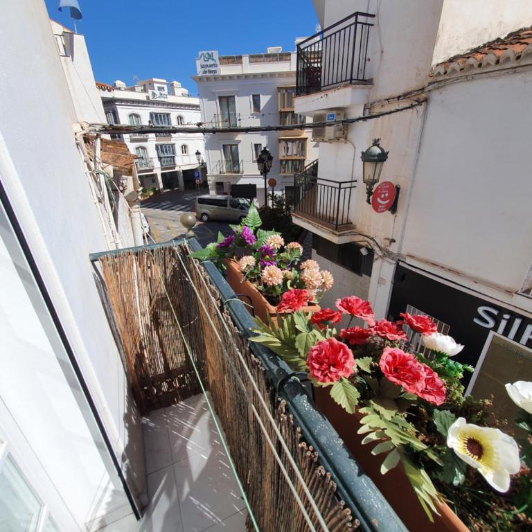 Apartamentos Eduardo Rico - Estudio con balcón - 11