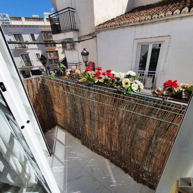 Apartamentos Eduardo Rico - Estudio con balcón - 21